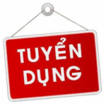 CÔNG TY TNHH TƯ VẤN VÀ DỊCH VỤ CHUYÊN VIỆT