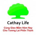 CÔNG TY TNHH BẢO HIỂM NHÂN THỌ CATHAY LIFE VIỆT NAM